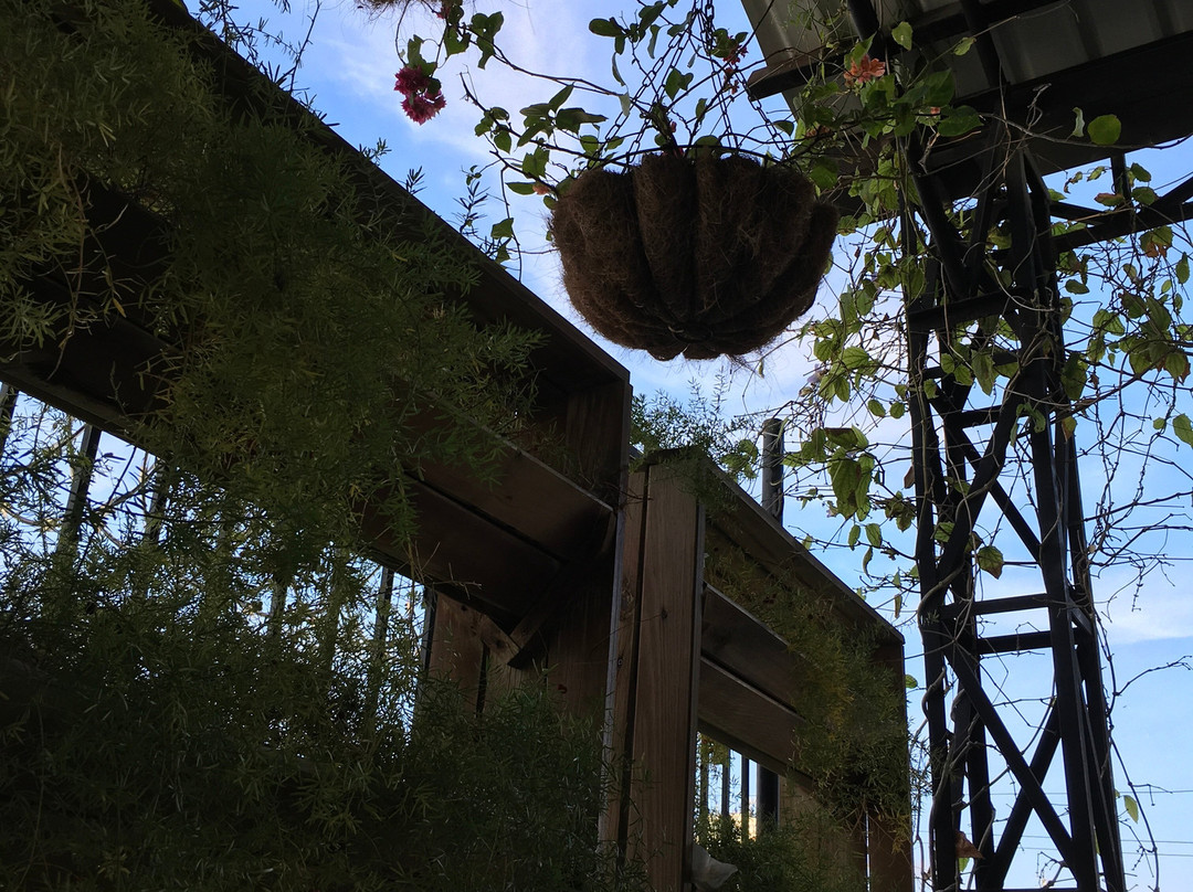 Casa de Leda - a Kali Hotel主图