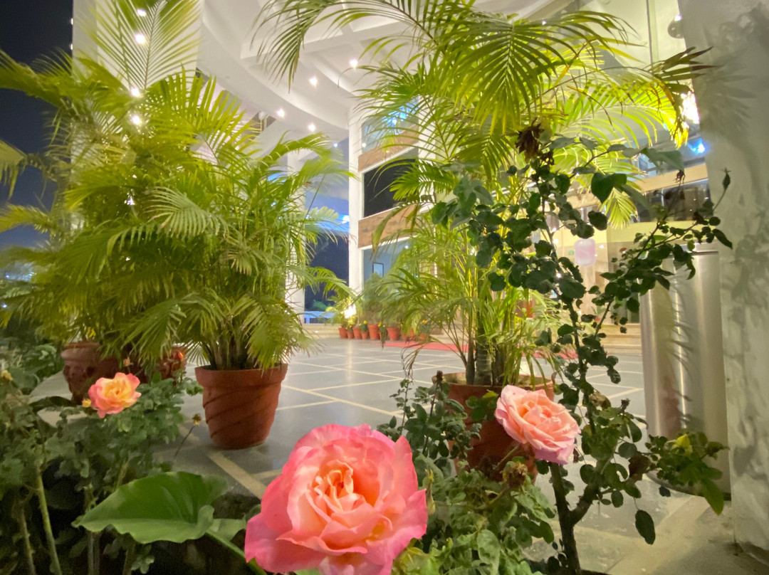 德拉敦纸牌酒店主图