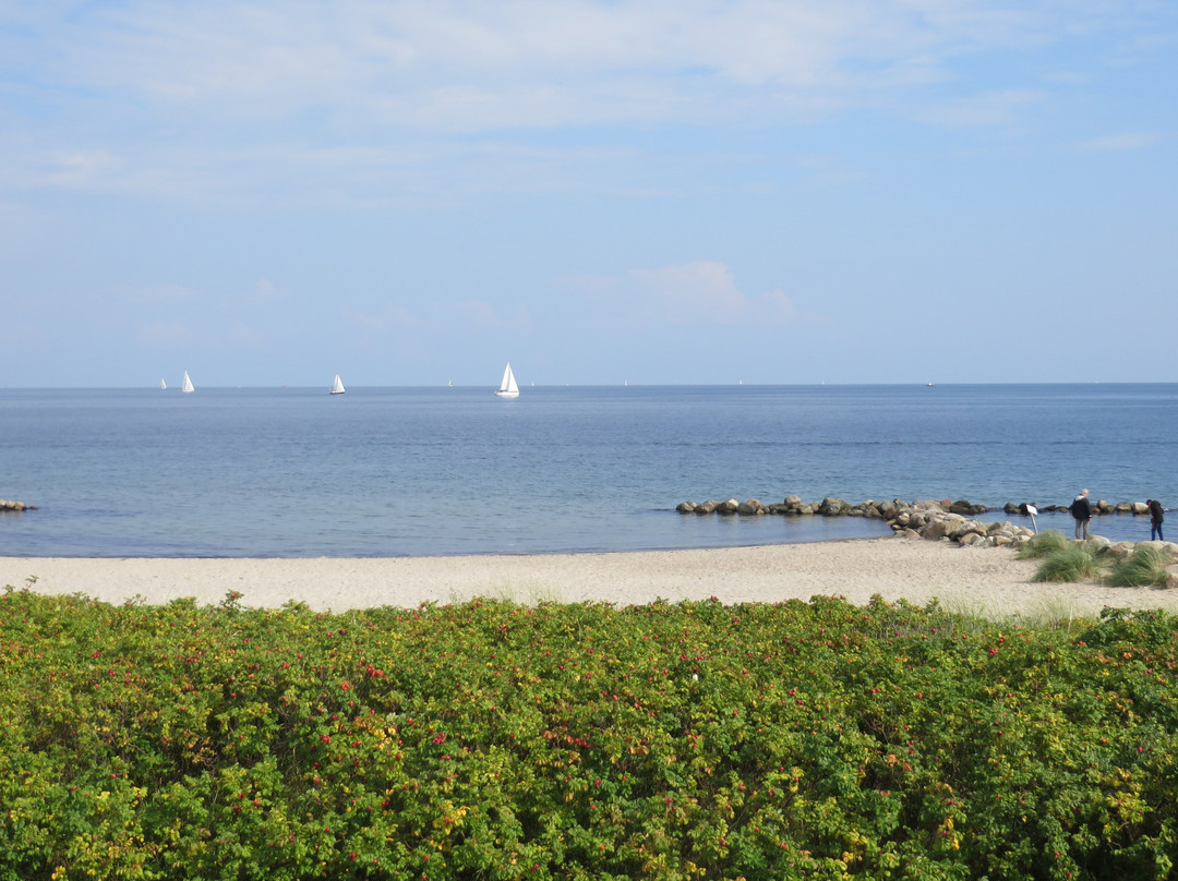 Schleifee Ostsee Hotel Residenz主图