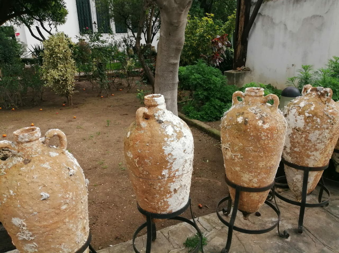 Archaeological Museum of Tétouan景点图片