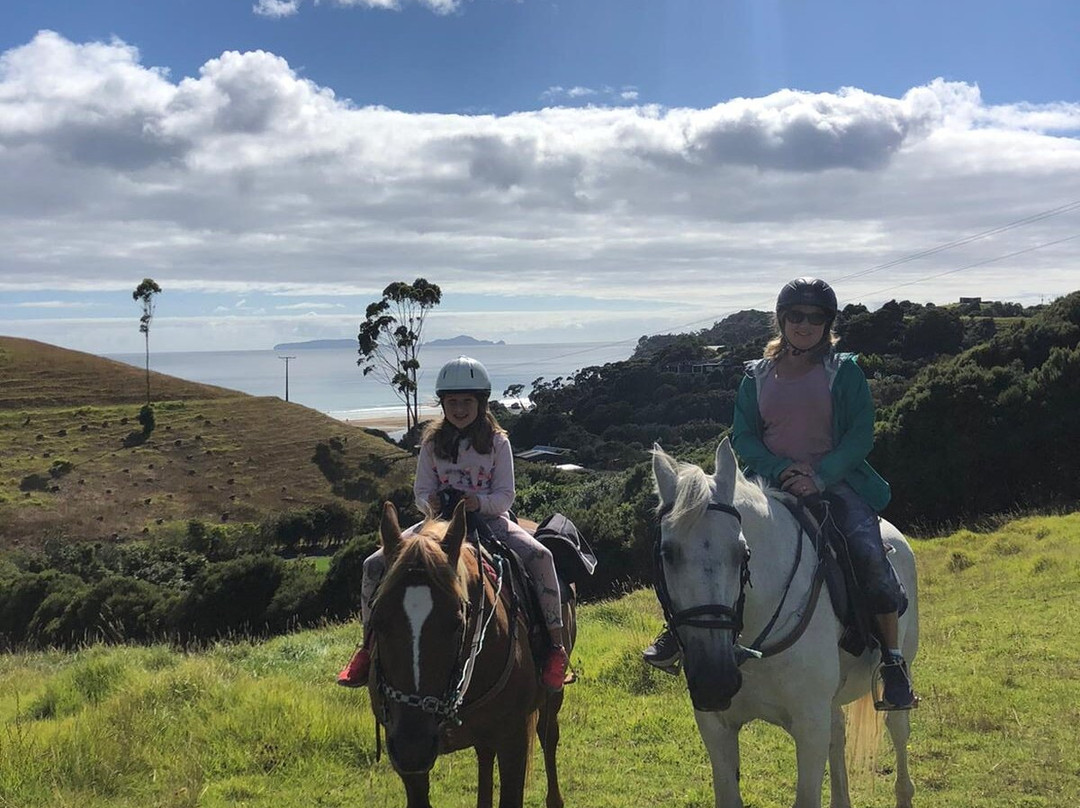 Sandy Bay Horses景点图片