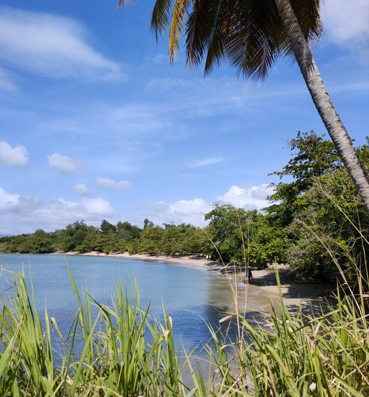 Anse Mabouya-圣吕斯必去景点