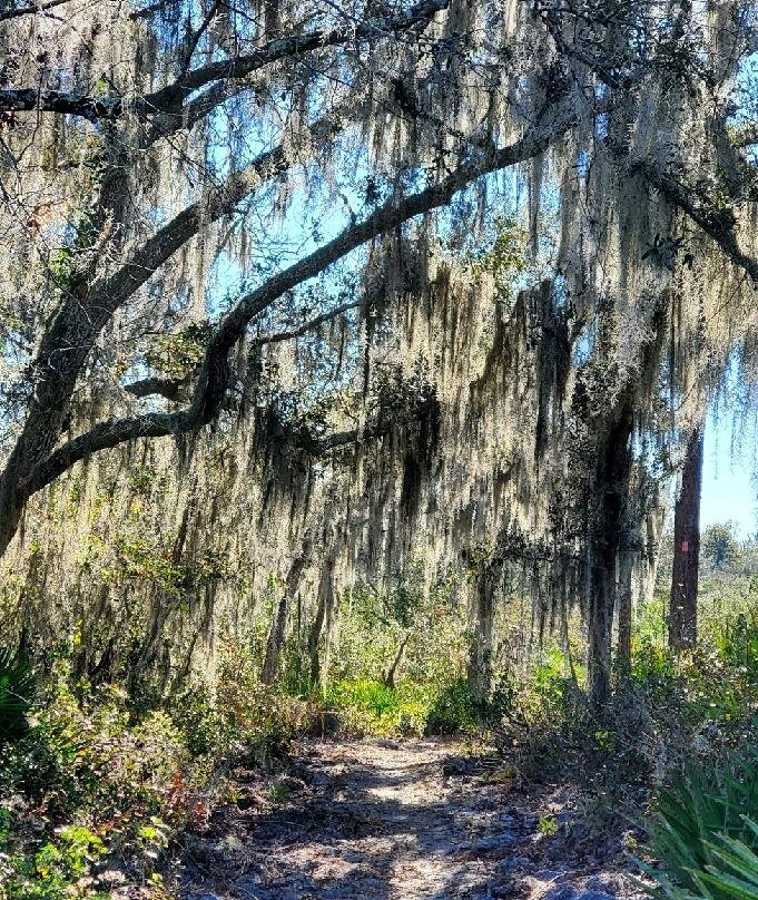 Tiger Creek Preserve-莱克威尔士必去景点