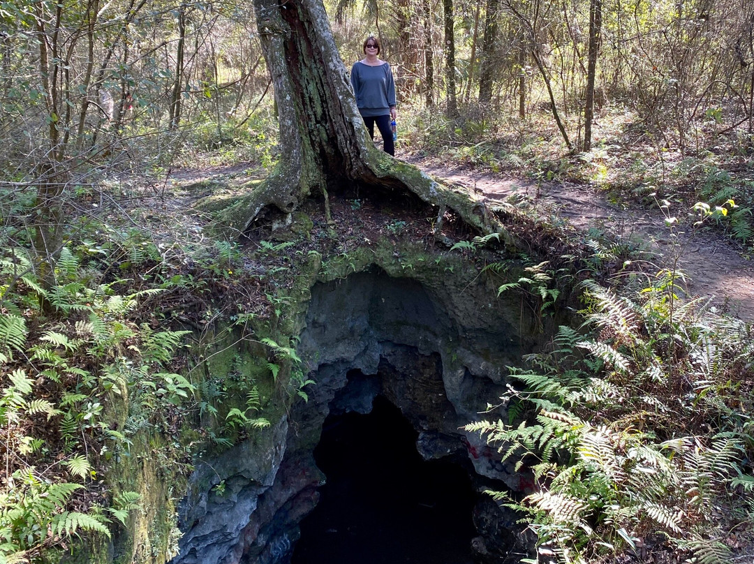 Dames Cave-Lecanto必去景点