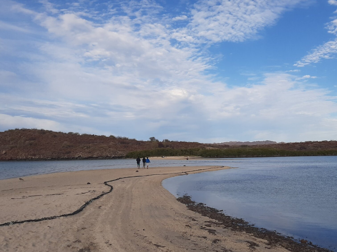 Playa el Requeson-洛雷托必去景点