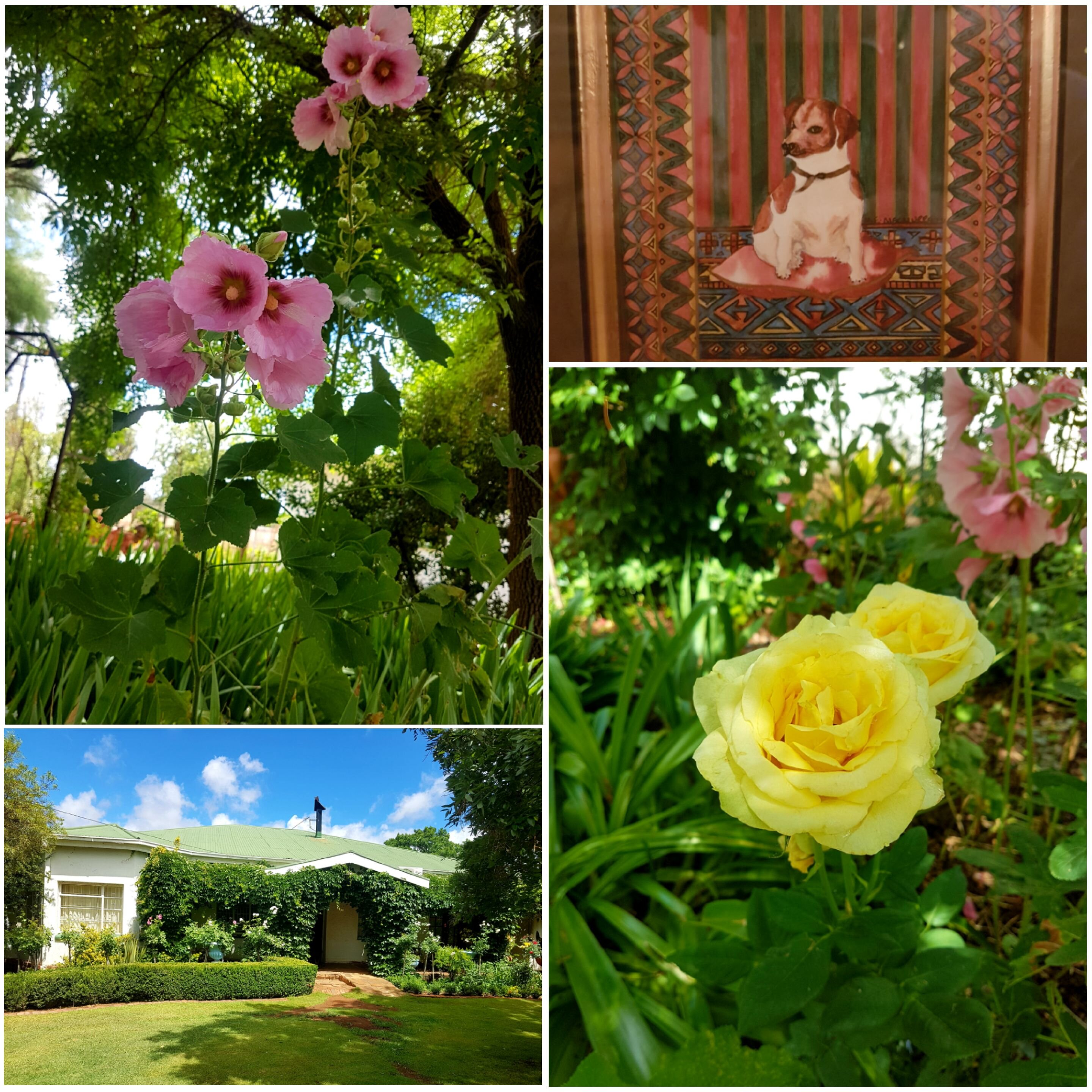 Springfontein Guesthouse-官方