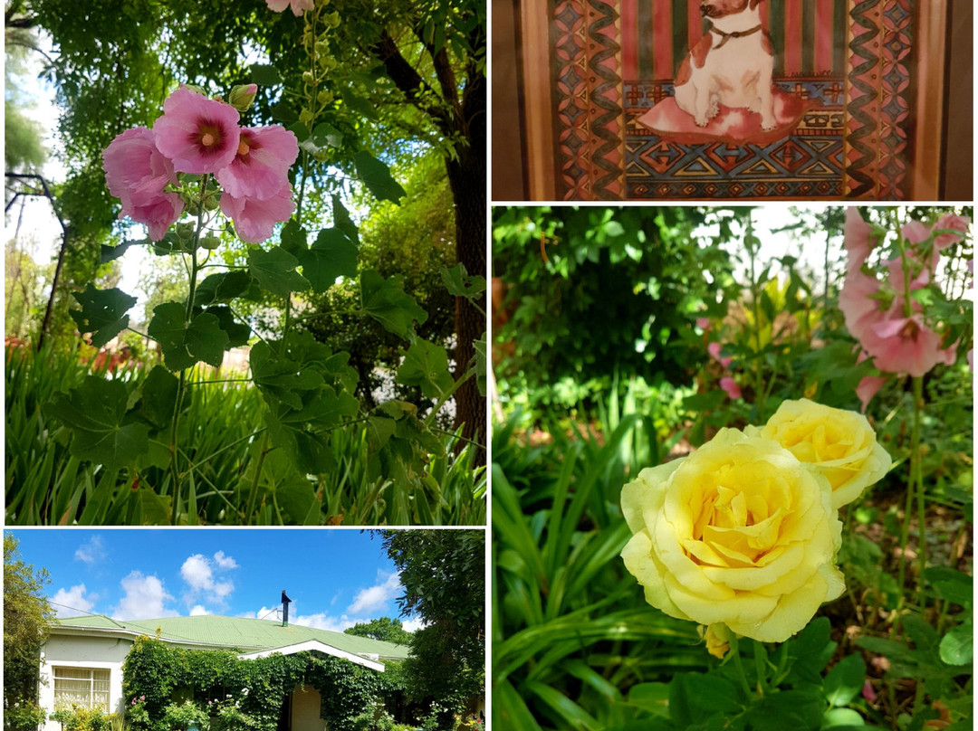 Springfontein Guesthouse主图