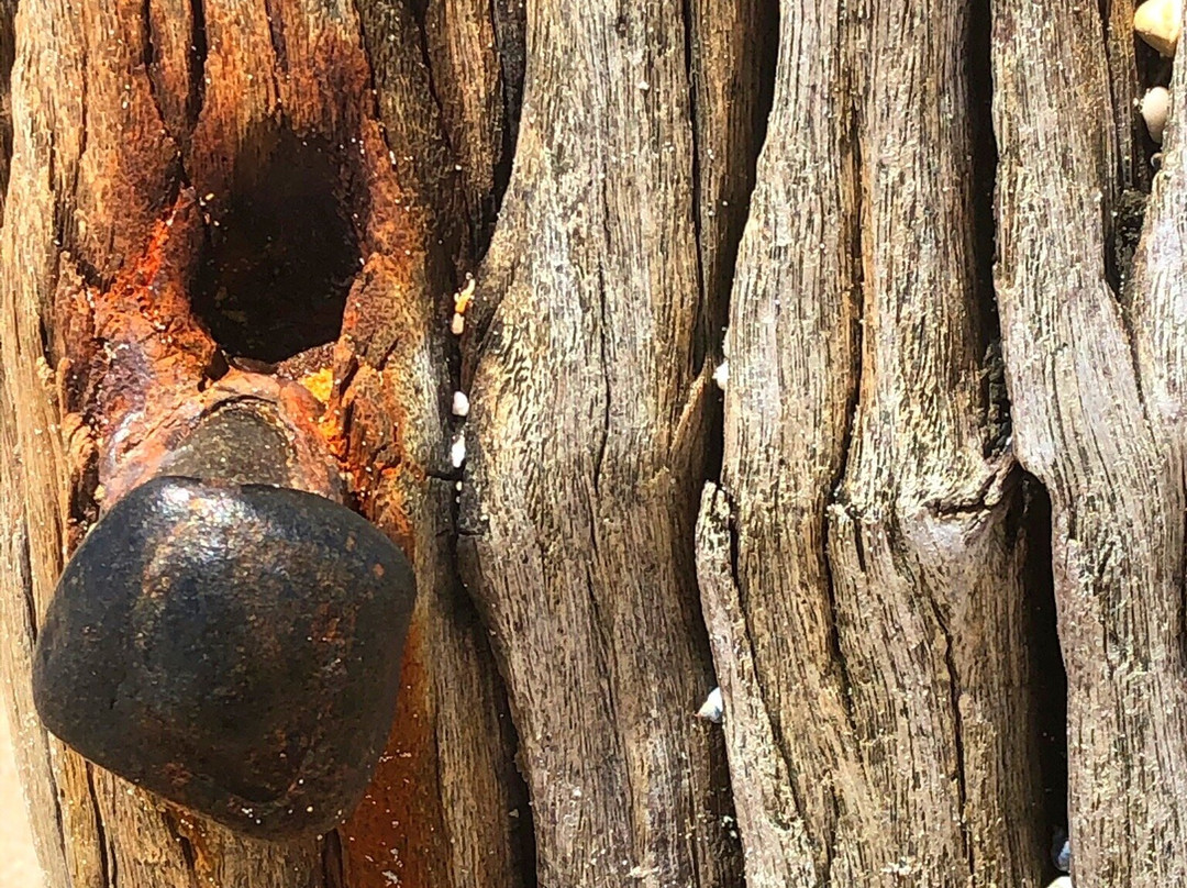 Jetty Pylons-Port Willunga必去景点