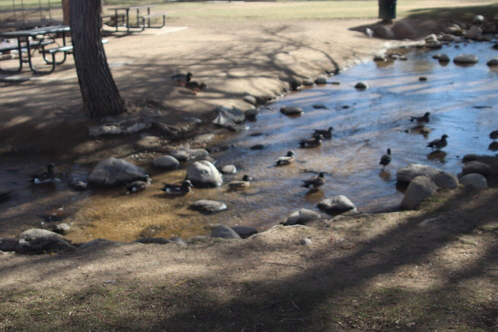 Hesperia Lake-希斯皮里亚必去景点