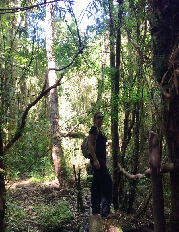 Reserva Natural El Triwe-Frutillar必去景点