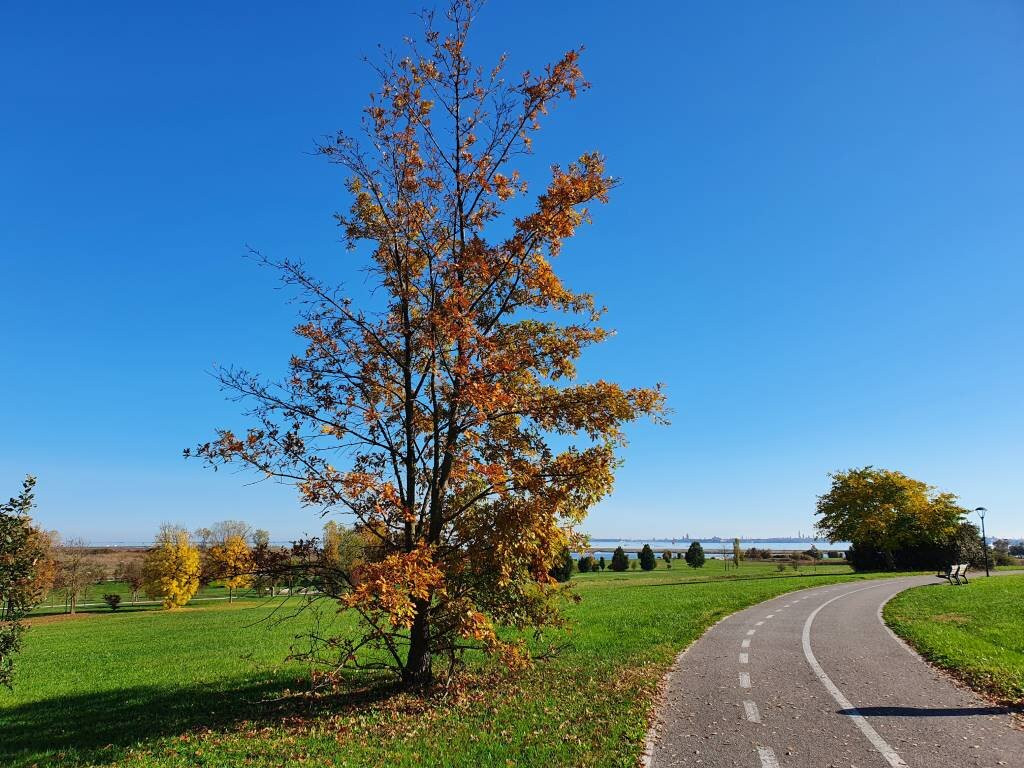 Parco San Giuliano-麦斯特必去景点