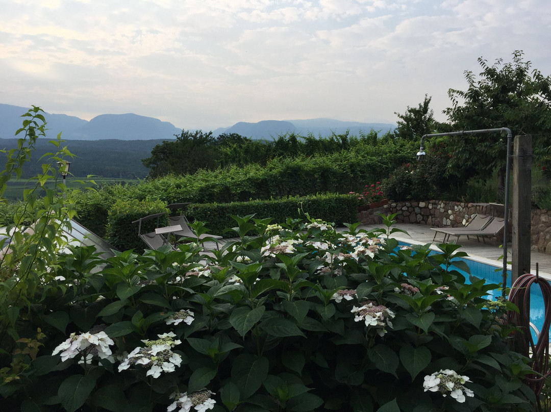 Weingut Weidlhof - Suite & Breakfast - Vacation for Wine Lovers