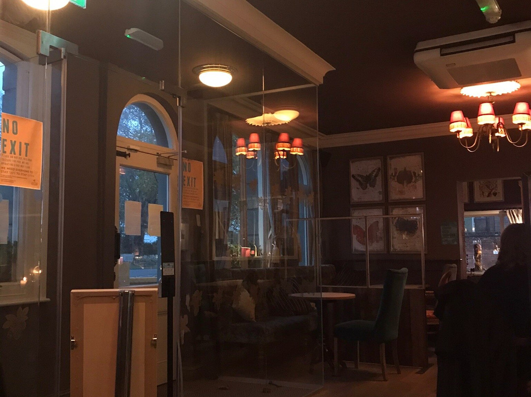 The Vine Inn景点图片
