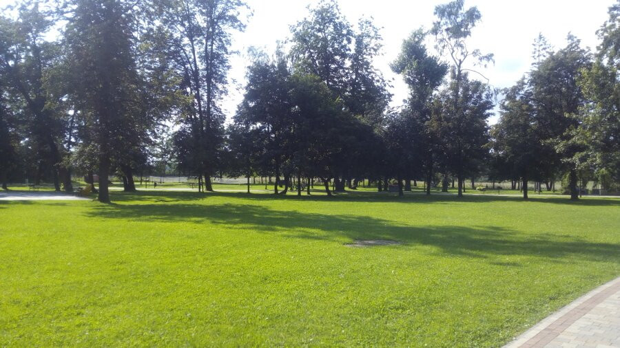The City Park. Adam Mickiewicz