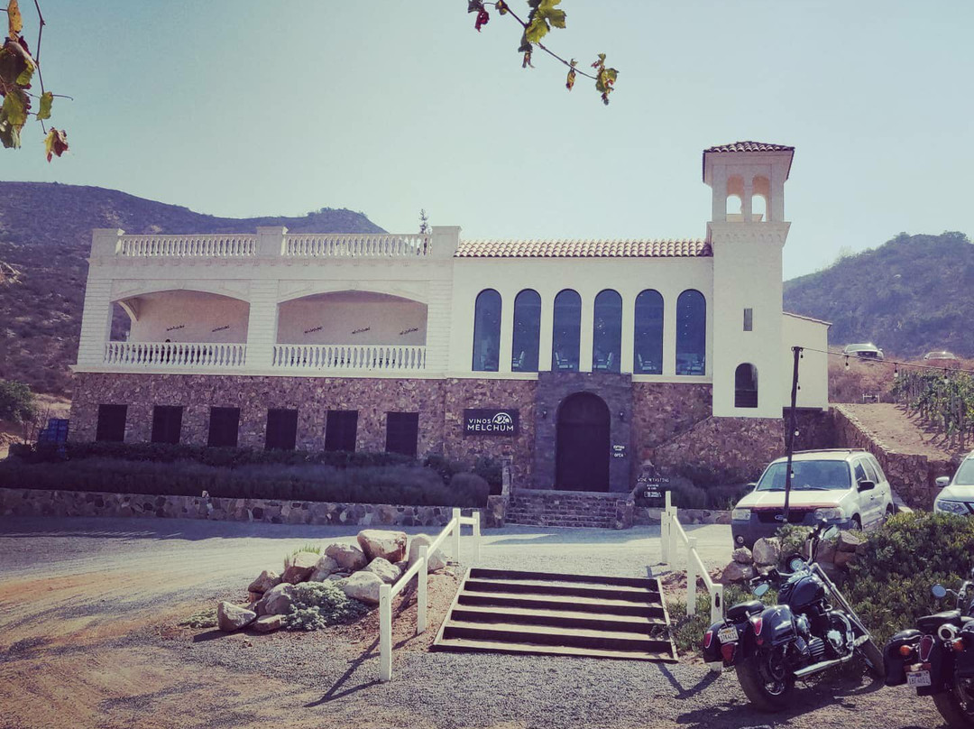 Hacienda Guadalupe Vinícola景点图片