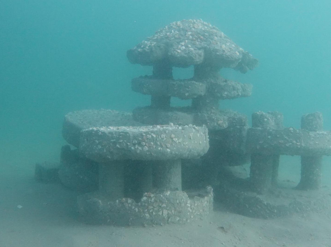 Alghais Diving-多哈必去景点