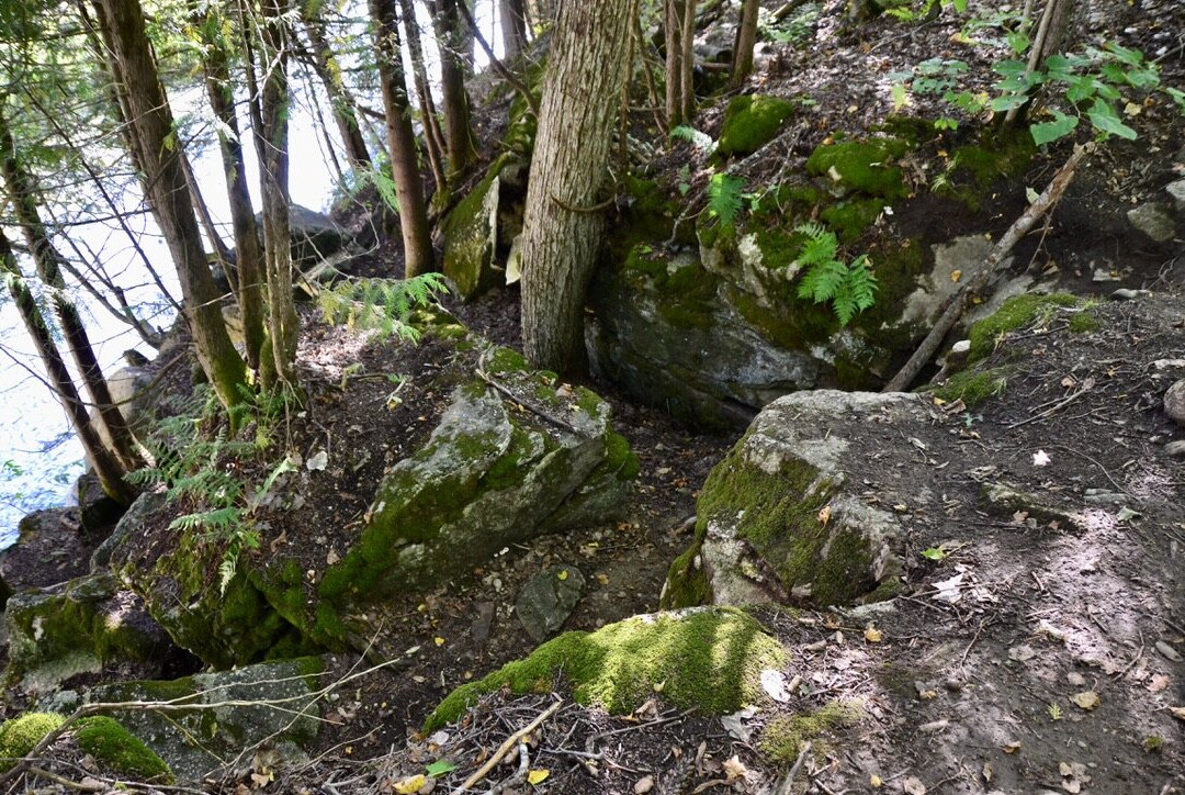 Minden Wild Water Preserve景点图片