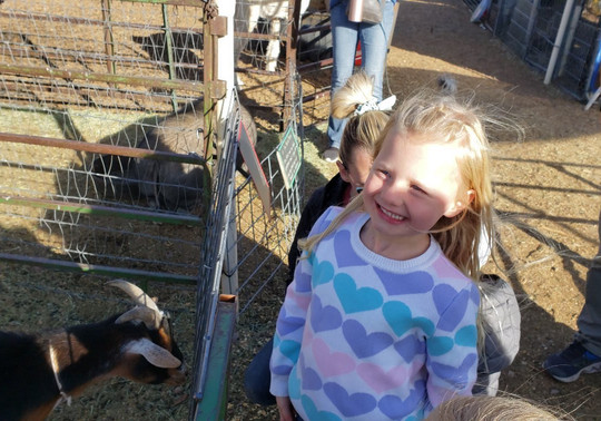 RunDown Ranch Kids Farm-Kamas必去景点