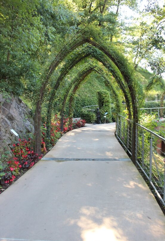 Sinigo旅游攻略图片