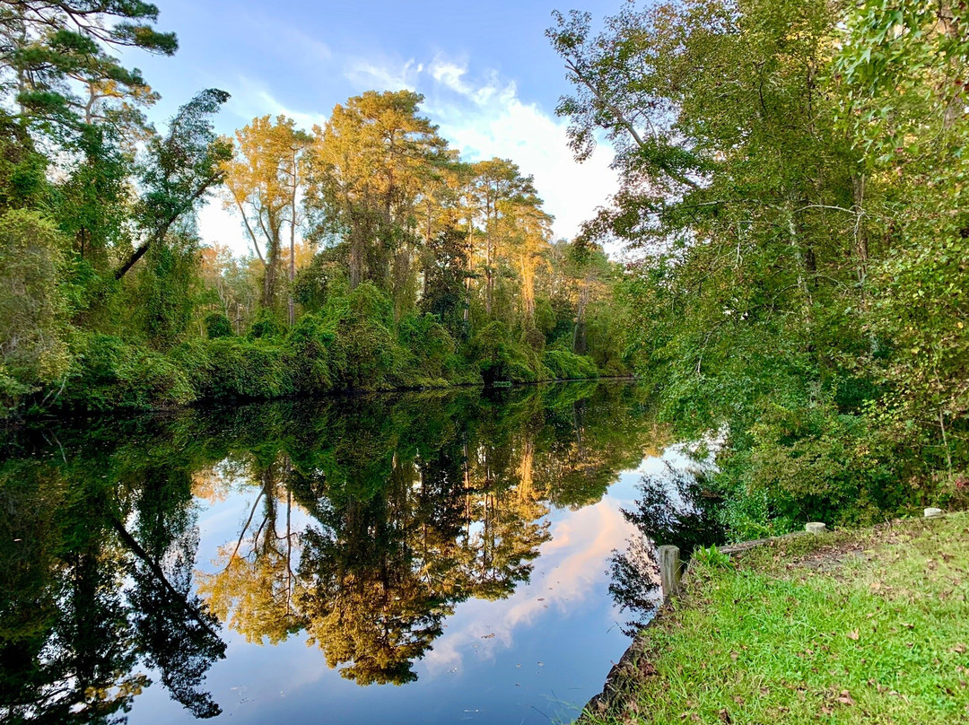 Dismal Swamp Canal Trail景点图片