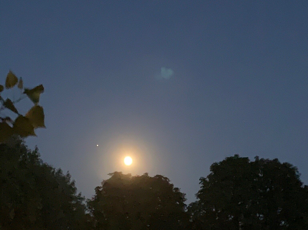 Pressana旅游攻略图片