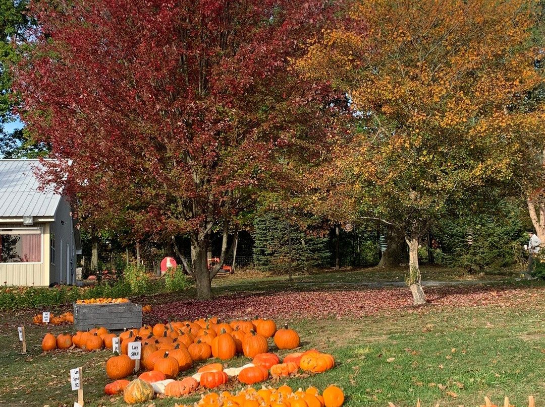 Reisinger's Apple Country-沃特金斯格伦必去景点