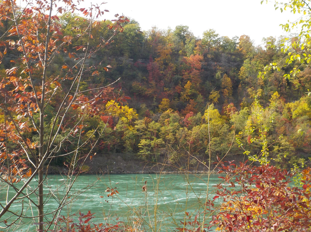 Artpark-Lewiston必去景点