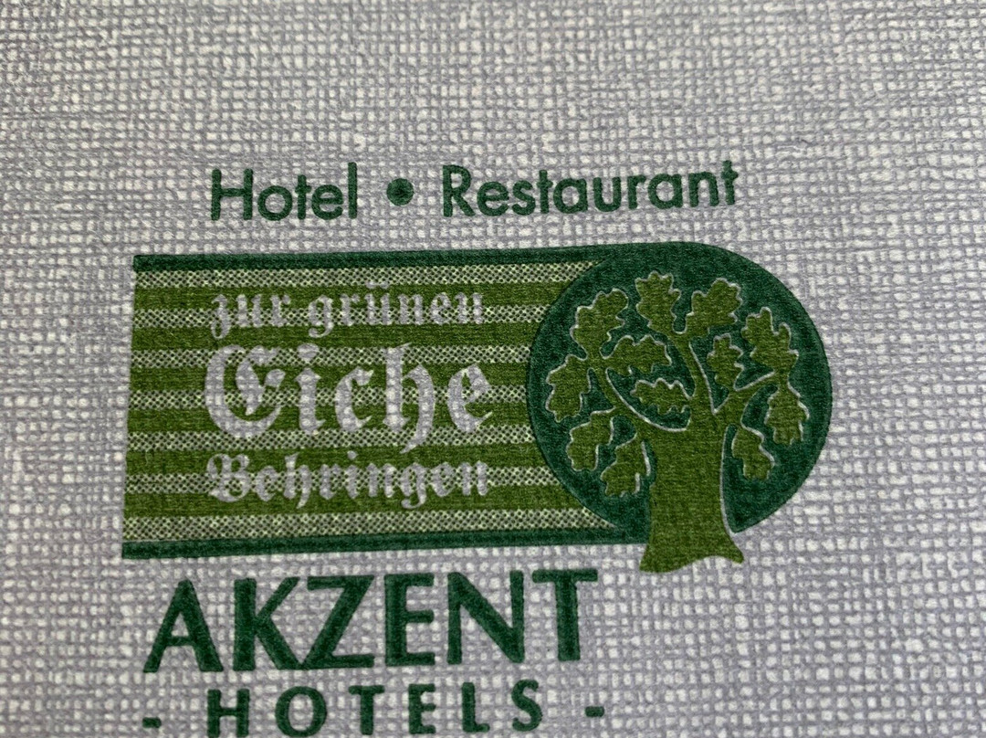 Akzent Hotel Zur Gruenen Eiche主图