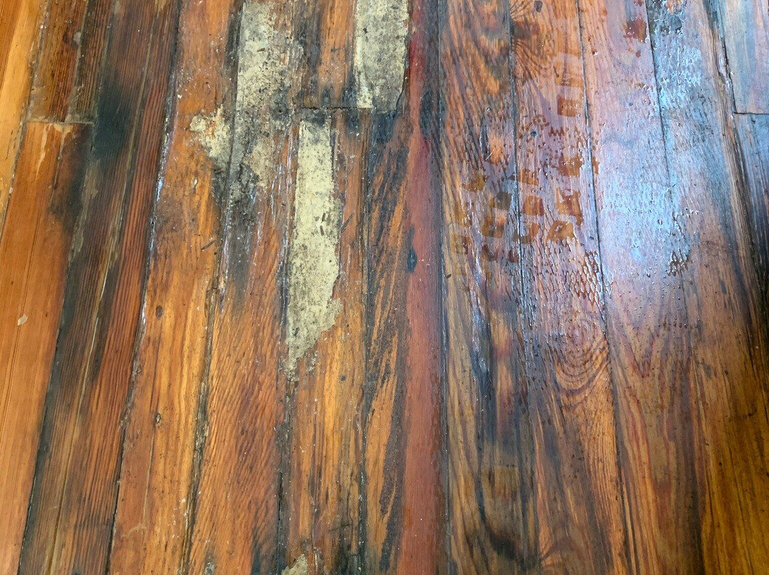 The Collegiate Hotel主图