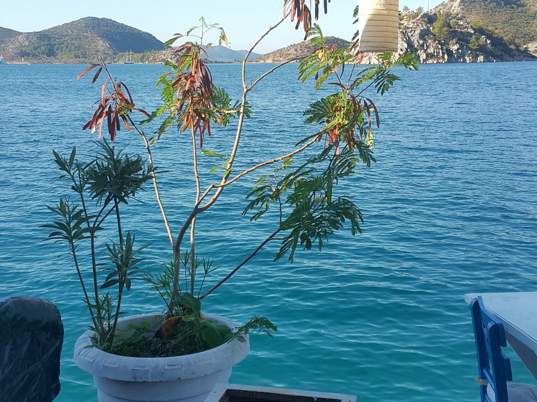 Bozburun Pembe Yunus Hotel主图