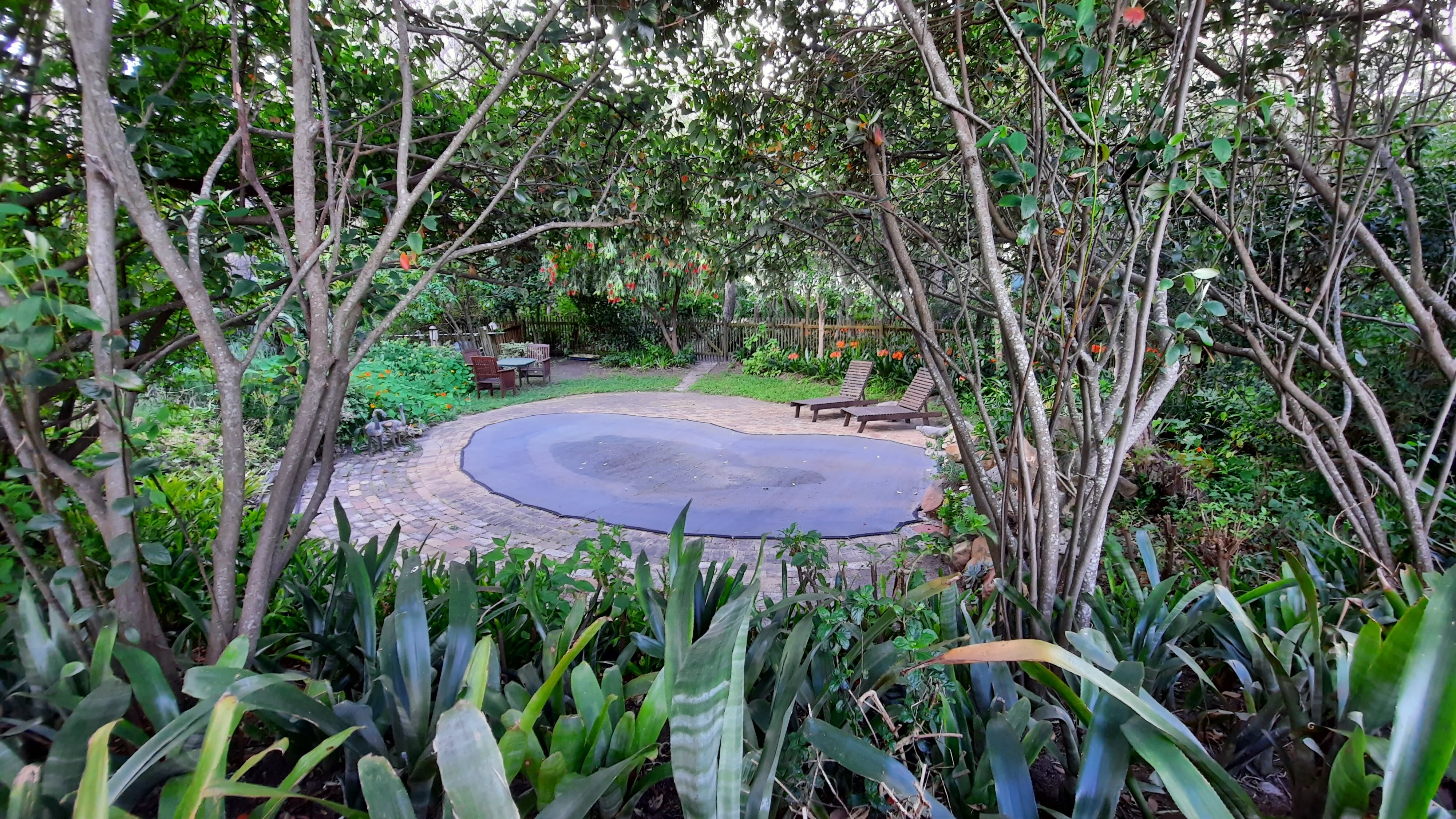 The House at Pooh Corner-泳池