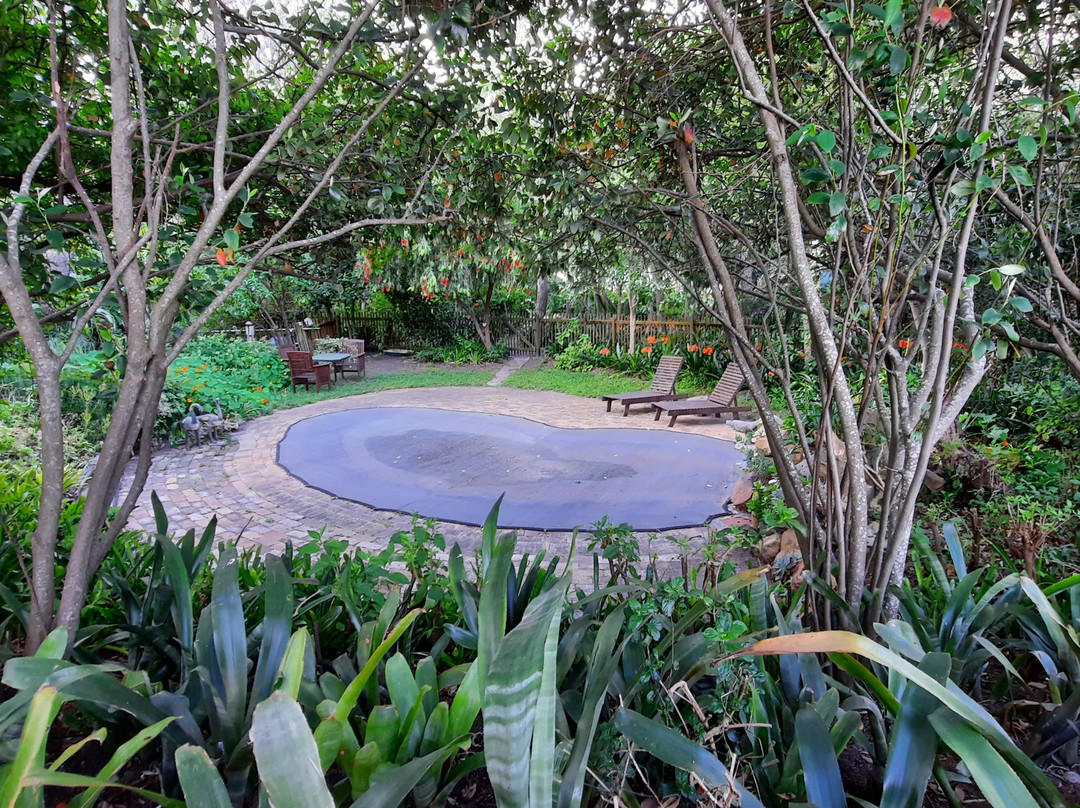 The House at Pooh Corner主图