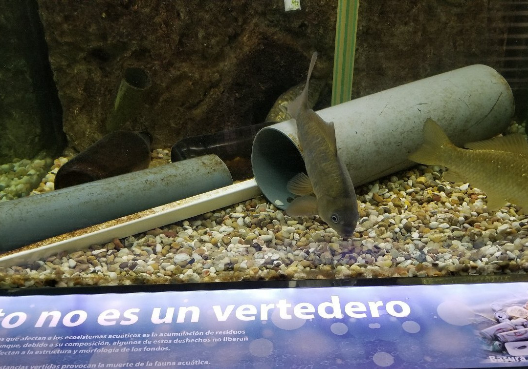 Museo de la Ciencia de Valladolid-瓦拉杜利德必去景点