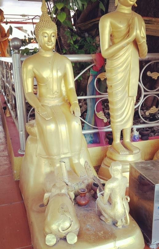 Wat Phra That Renu Nakhon景点图片