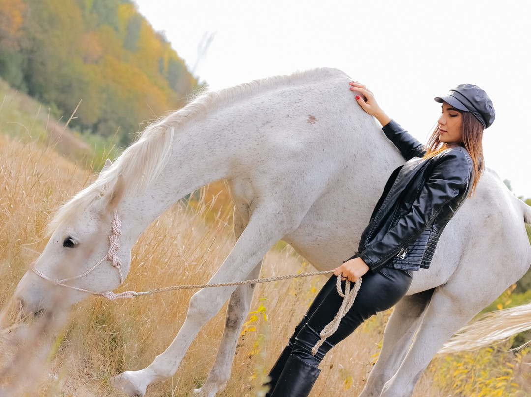 Cossack Horse Riding Club景点图片