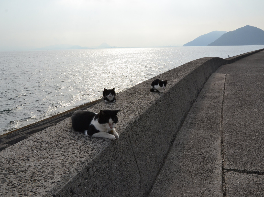 Sanagi Island景点图片