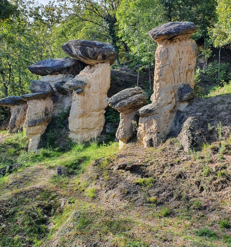 Riserva Naturale dei Ciciu del Villar景点图片