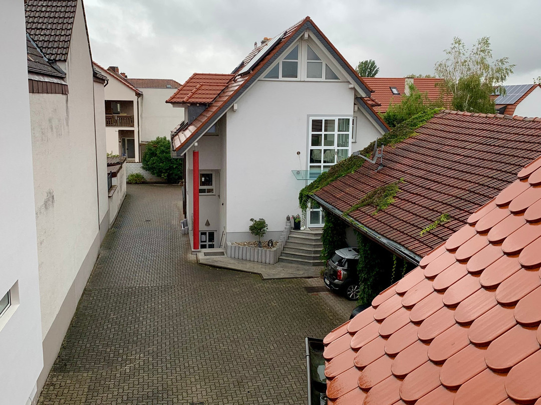 Zum Augarten主图