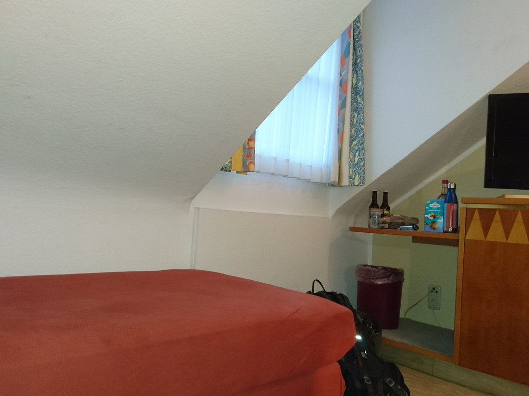 Hotel Alt Montjoie主图