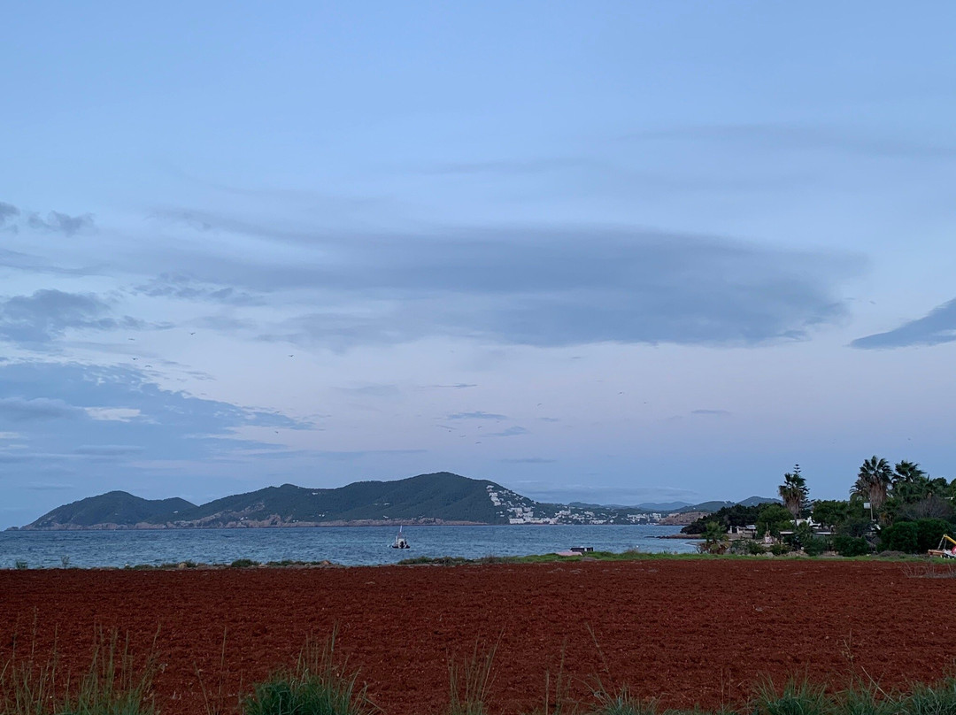 La Posidonia, Spa, Ibiza景点图片