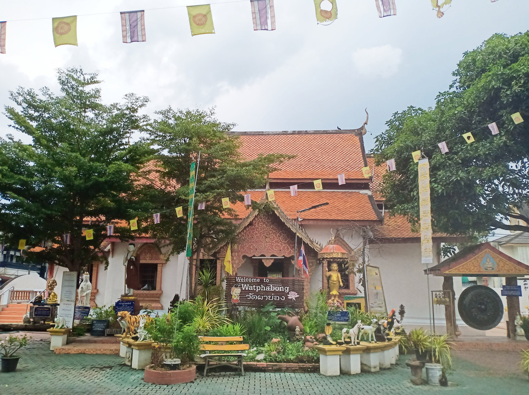 Wat Pha Bong (Mank Kalaram)-清迈必去景点