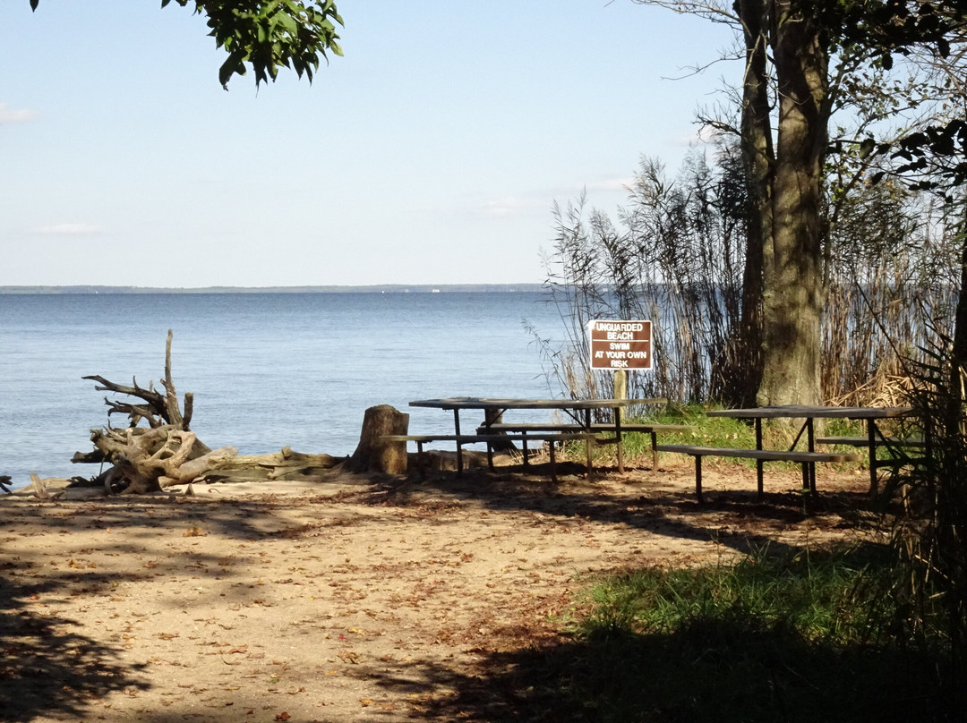 Calvert Cliffs State Park景点图片