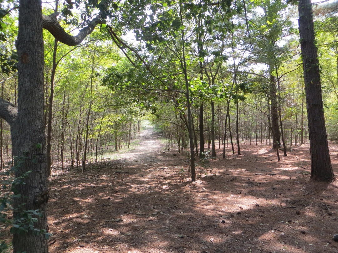 Martin Creek Lake State Park景点图片