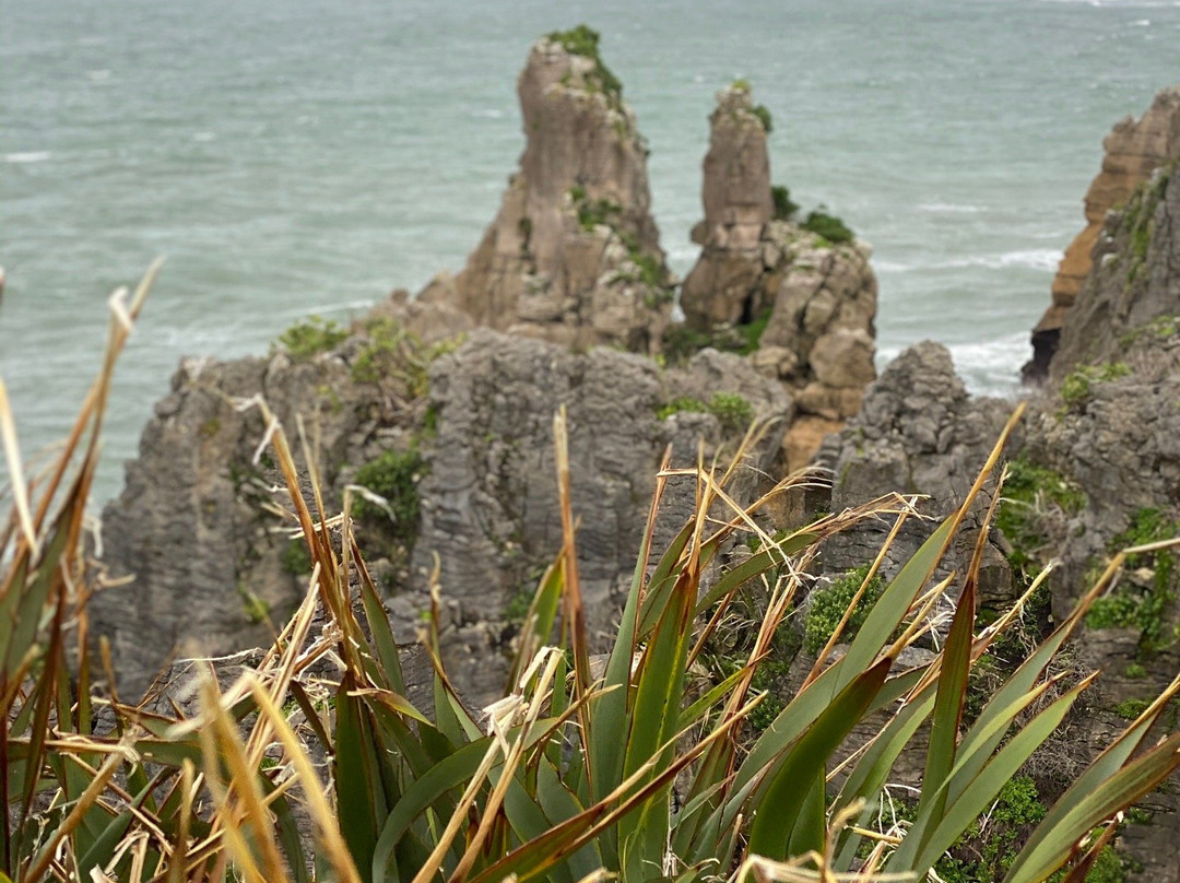Explore West Coast景点图片
