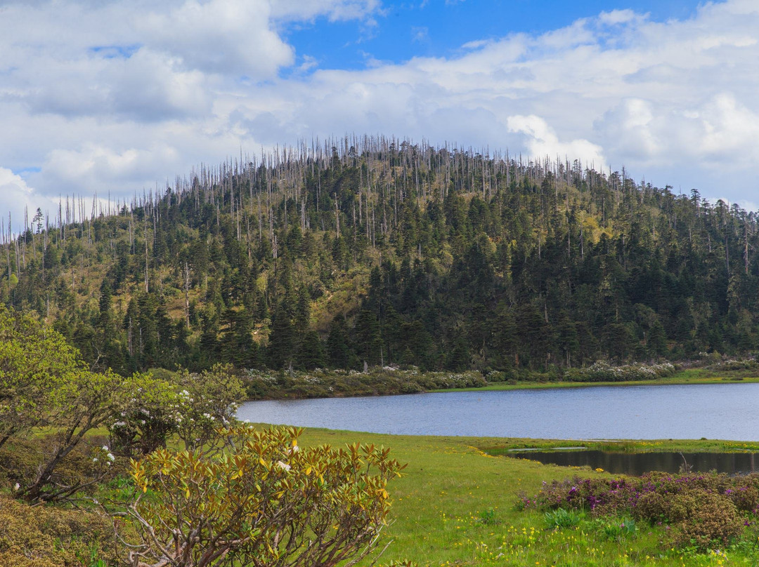 茶马古道-丽江市必去景点