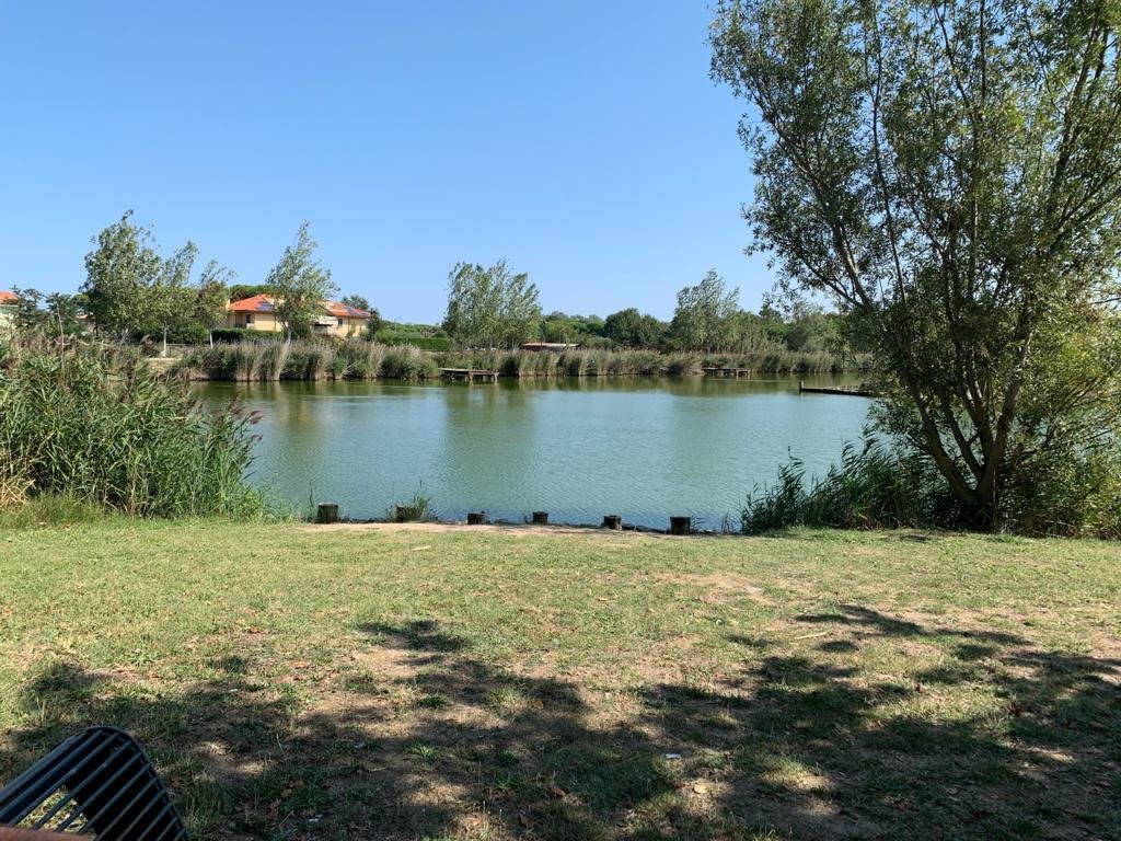 Parco del Gelso景点图片