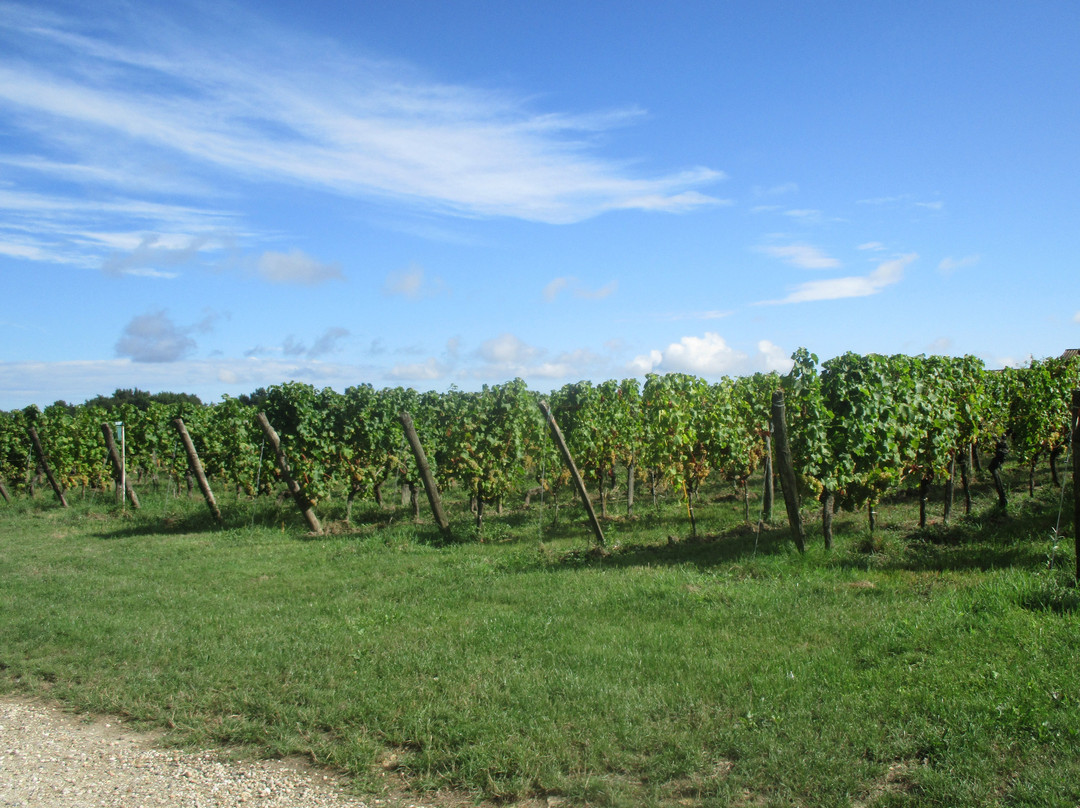 Maison des Vins de Cadillac景点图片