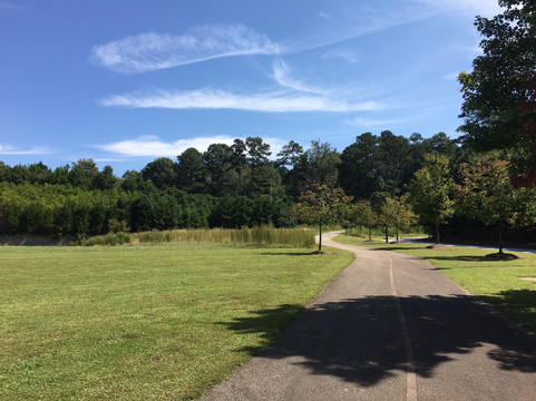 Peachtree Ridge Park-苏万尼必去景点