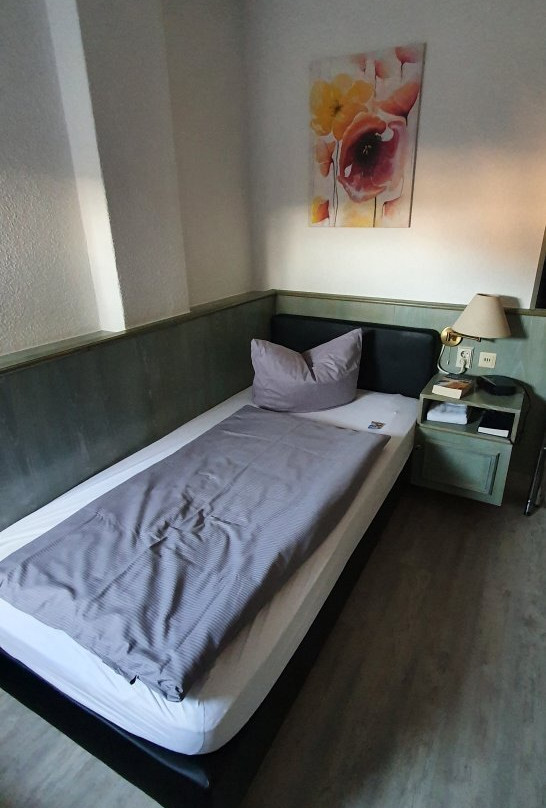 Parkhotel Plauen主图