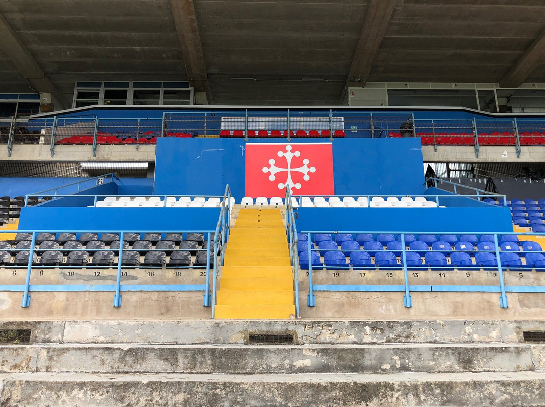 Stadio Arena Garibaldi - Romeo Anconetani景点图片